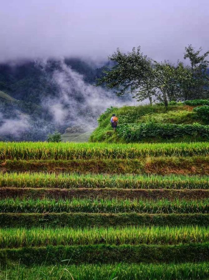 Longji Terrace La Vie Inn Лунгшен Екстер'єр фото