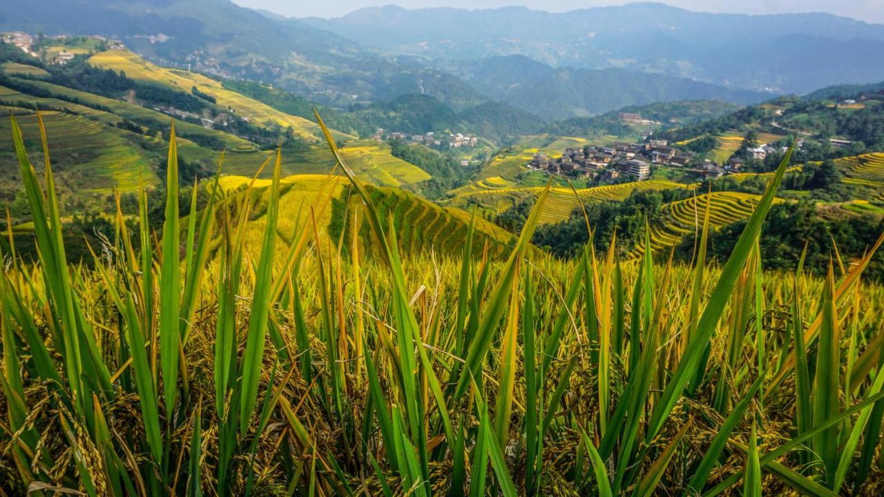 Longji Terrace La Vie Inn Лунгшен Екстер'єр фото