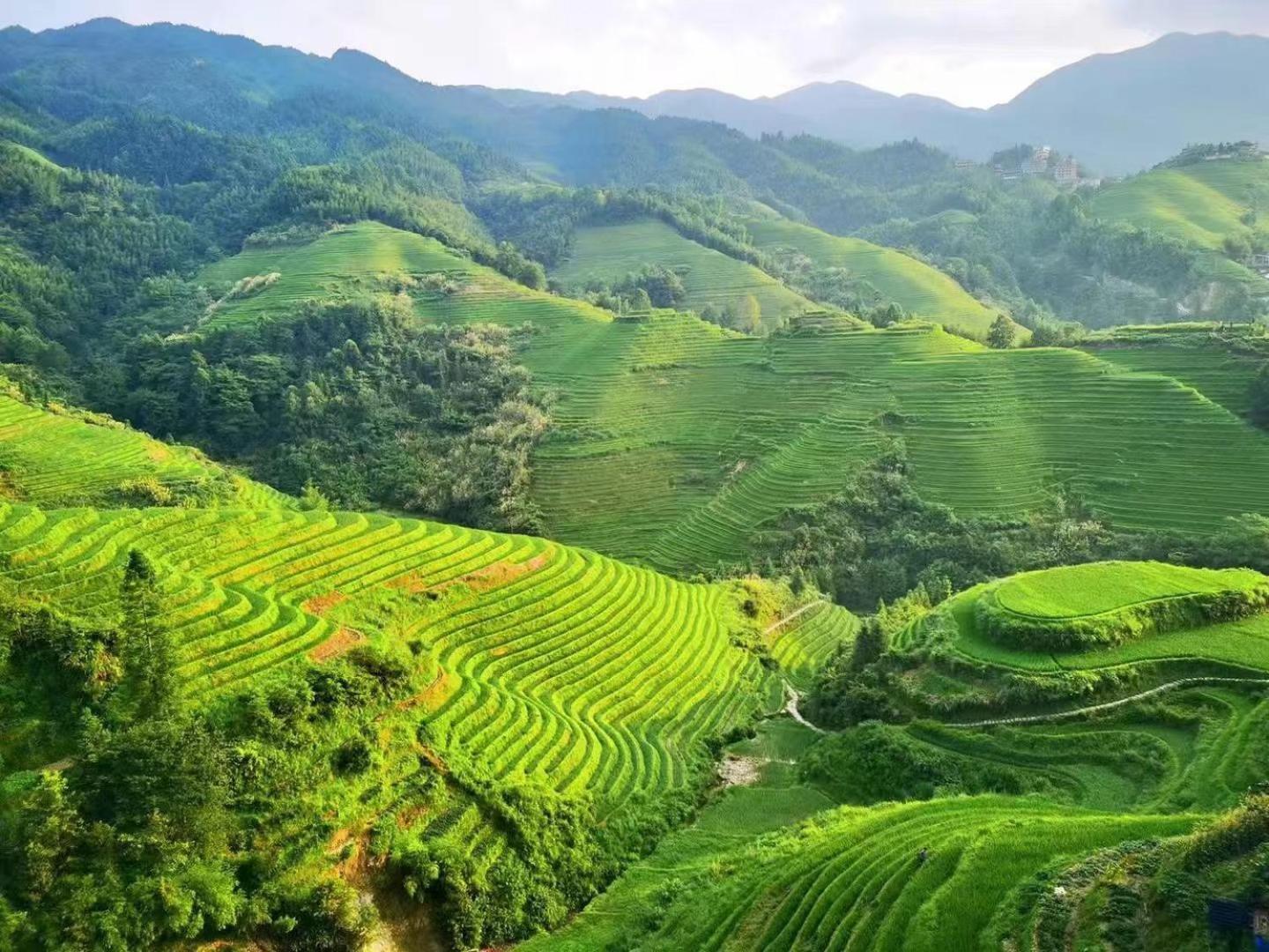 Longji Terrace La Vie Inn Лунгшен Екстер'єр фото
